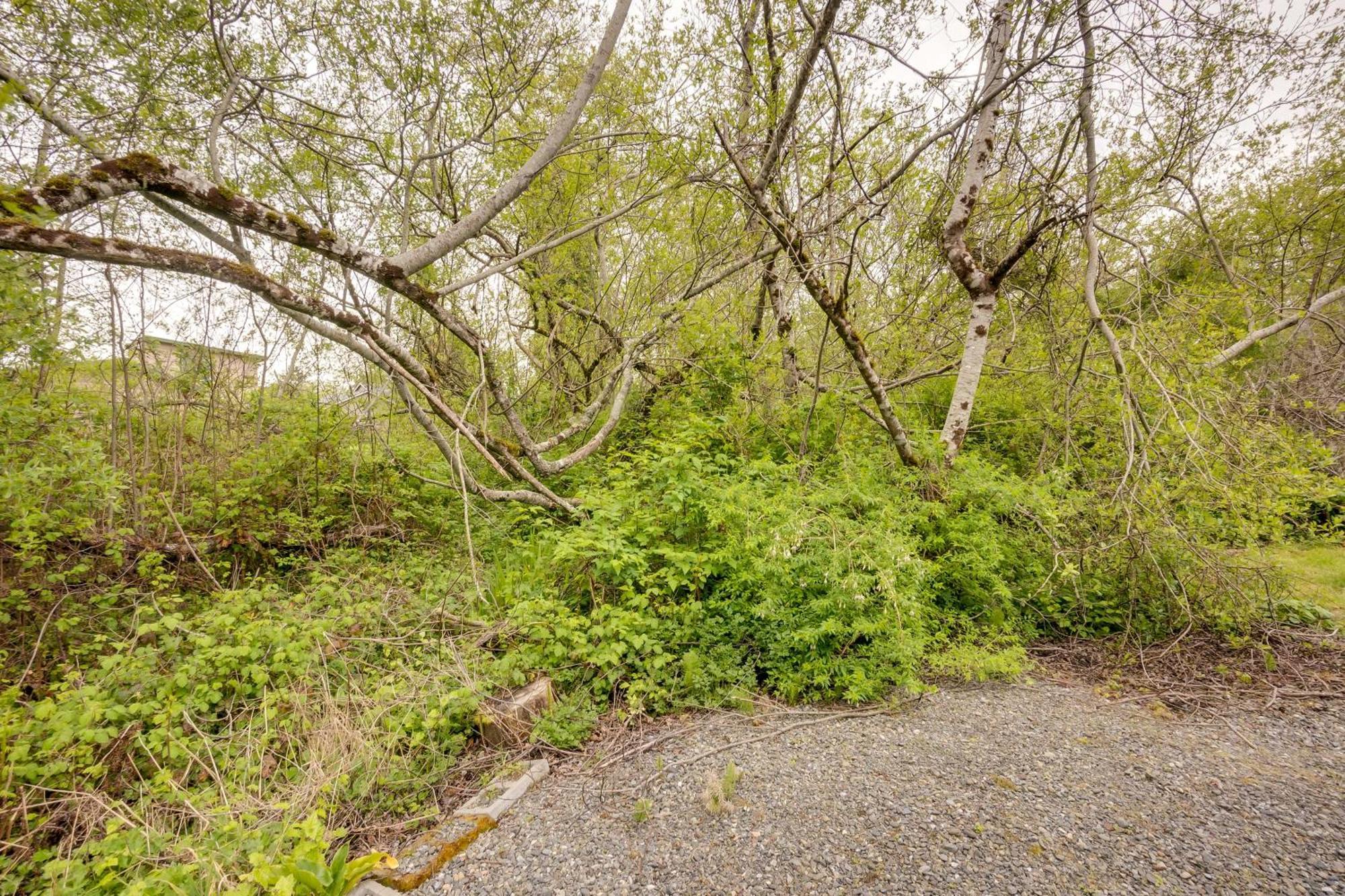 Soothing Studio With Lush Views 2 Mi To Beach! Smith River Экстерьер фото